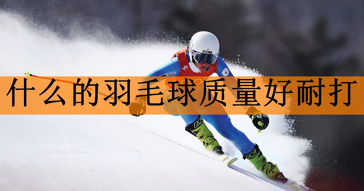 什么的羽毛球质量好耐打